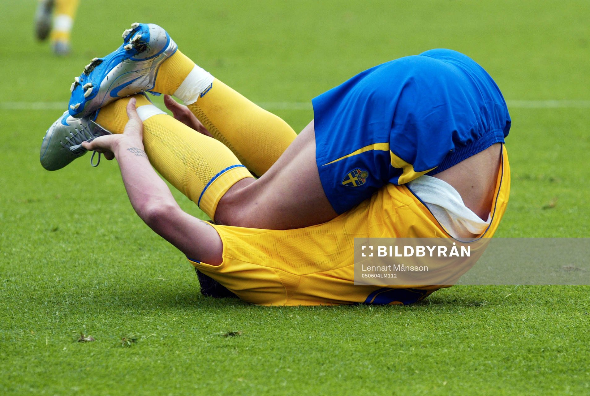 Zlatan Ibrahimovic, Sverige