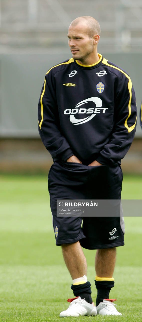 Fredrik Ljungberg, Sverige
