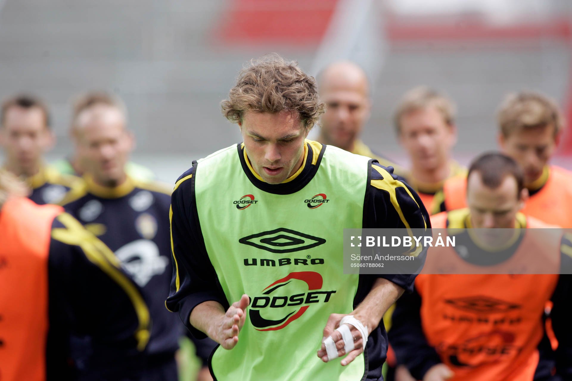 Johan Elmander, Sverige