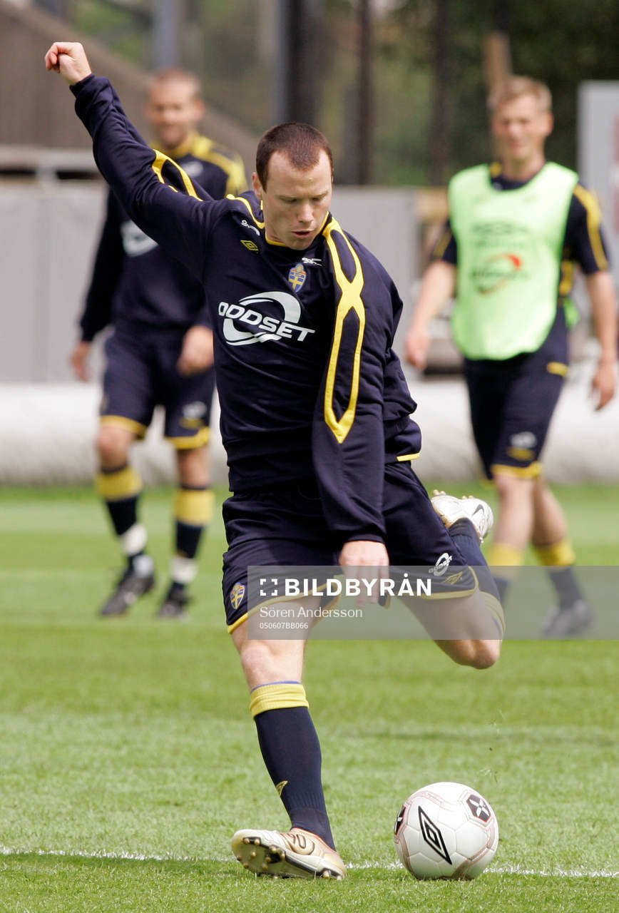 Alexander Farnerud, Sverige