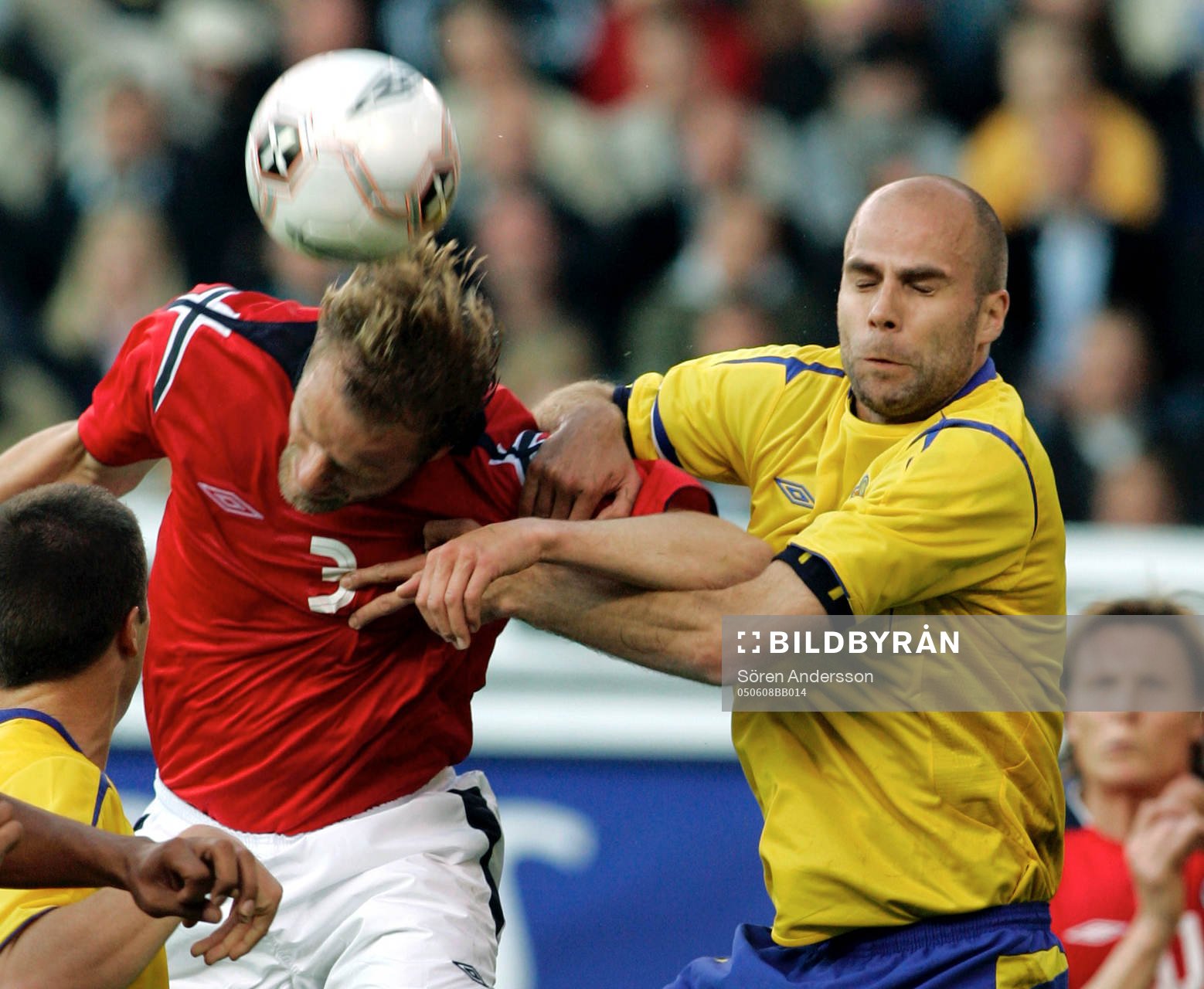 Teddy Lucic, Sverige och Bråd Borgersen, Norge