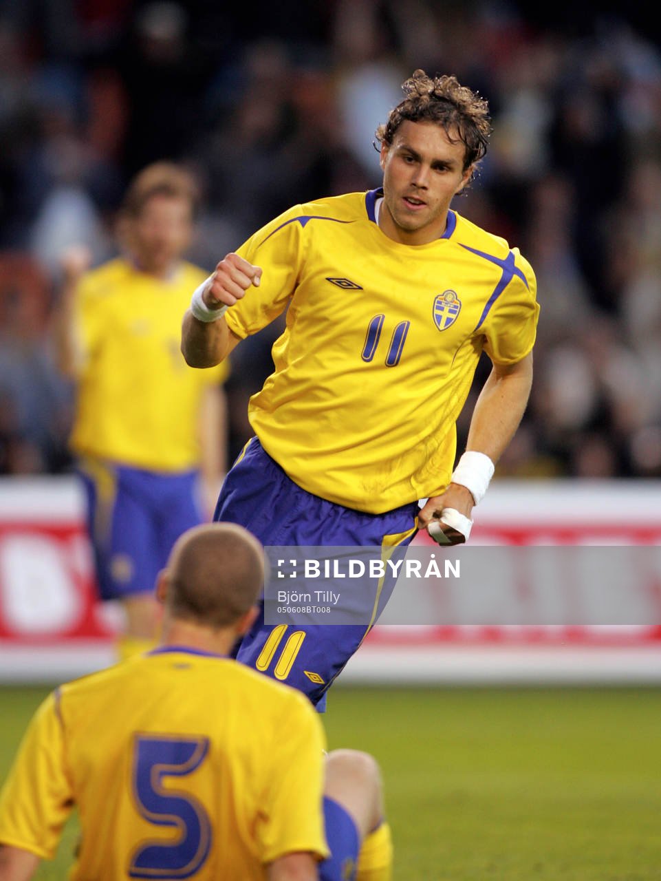 Johan Elmander, Sverige