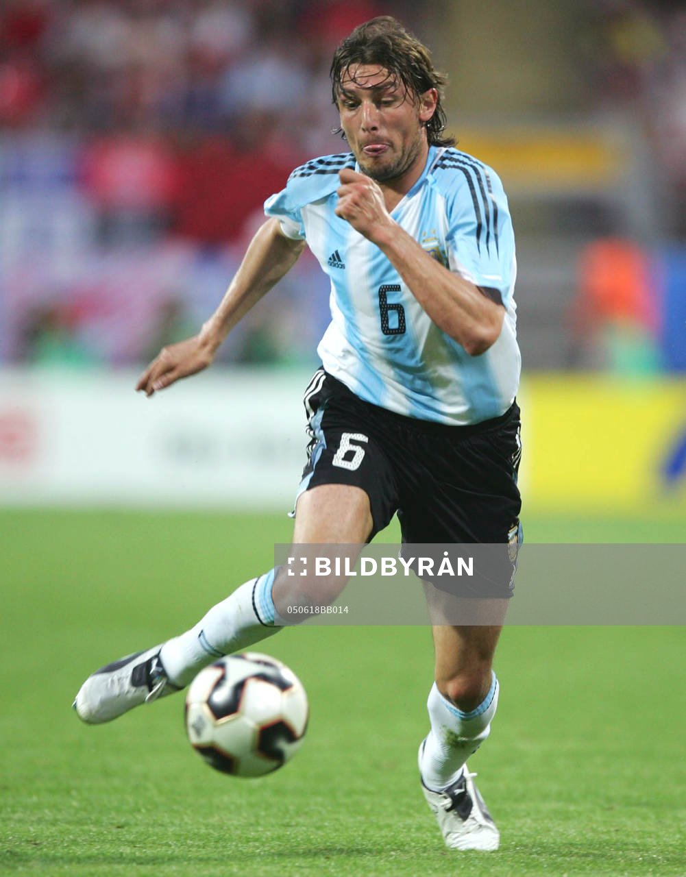 Gabriel Heinze, Argentina