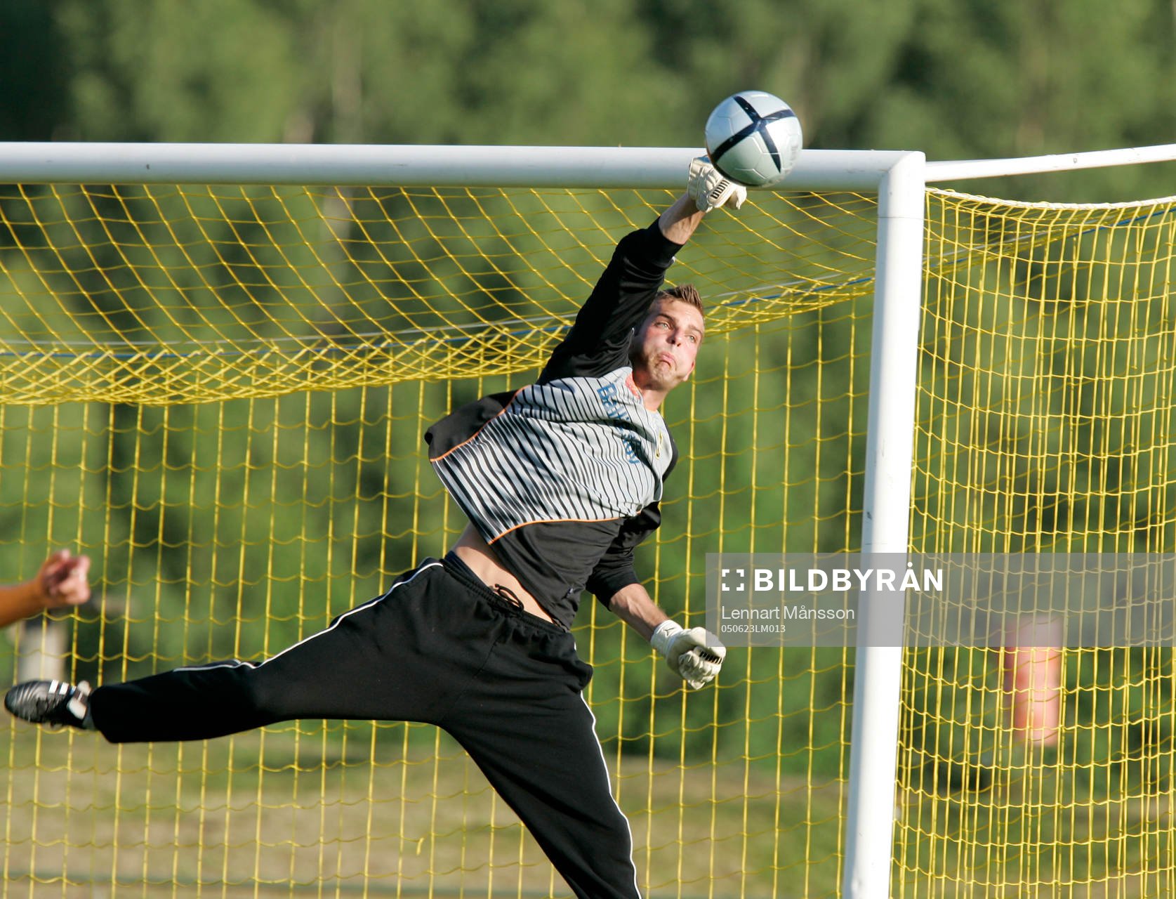 Joel Ringström, målvakt, Hässleholm