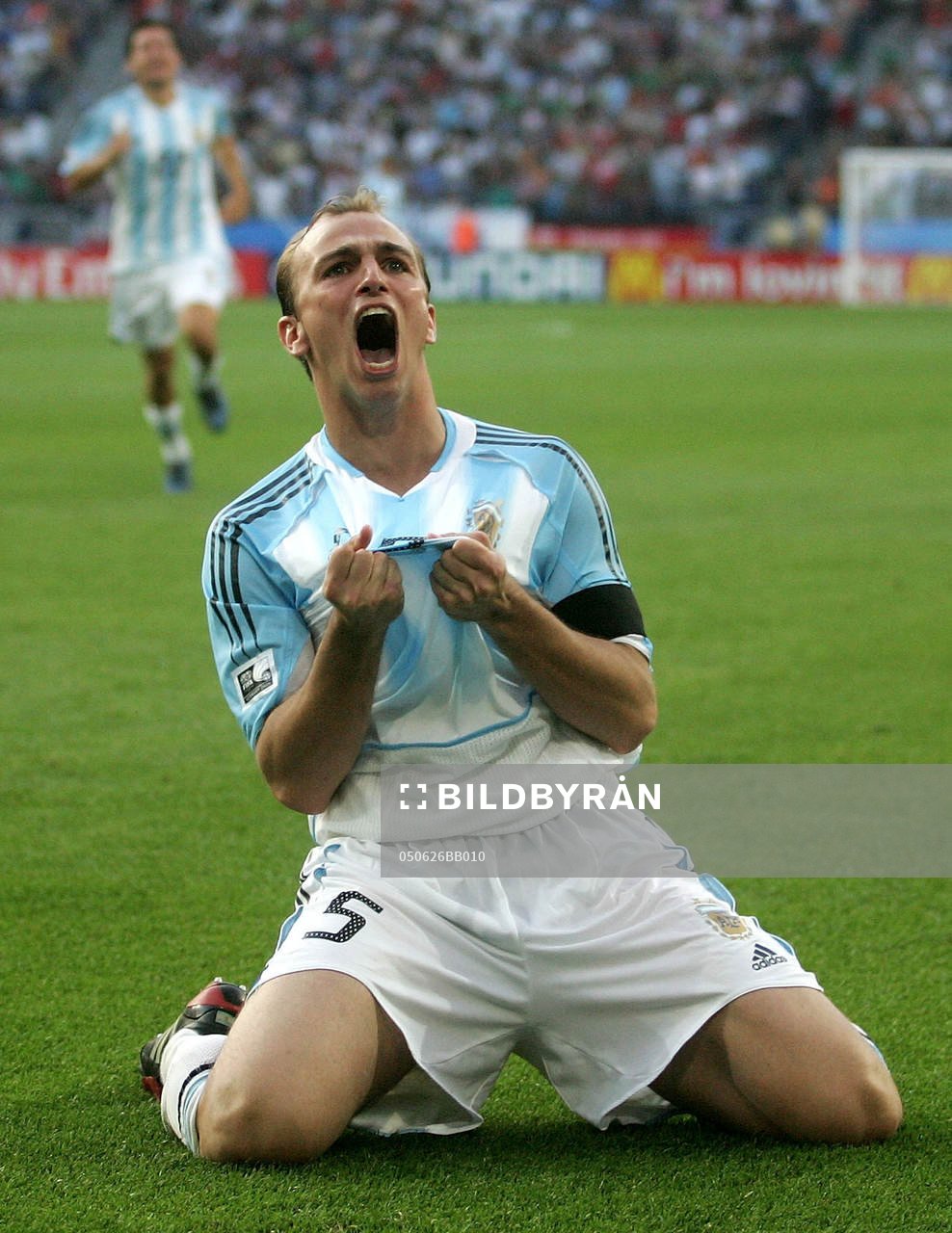 Esteban Cambiasso, Argentina, jubel