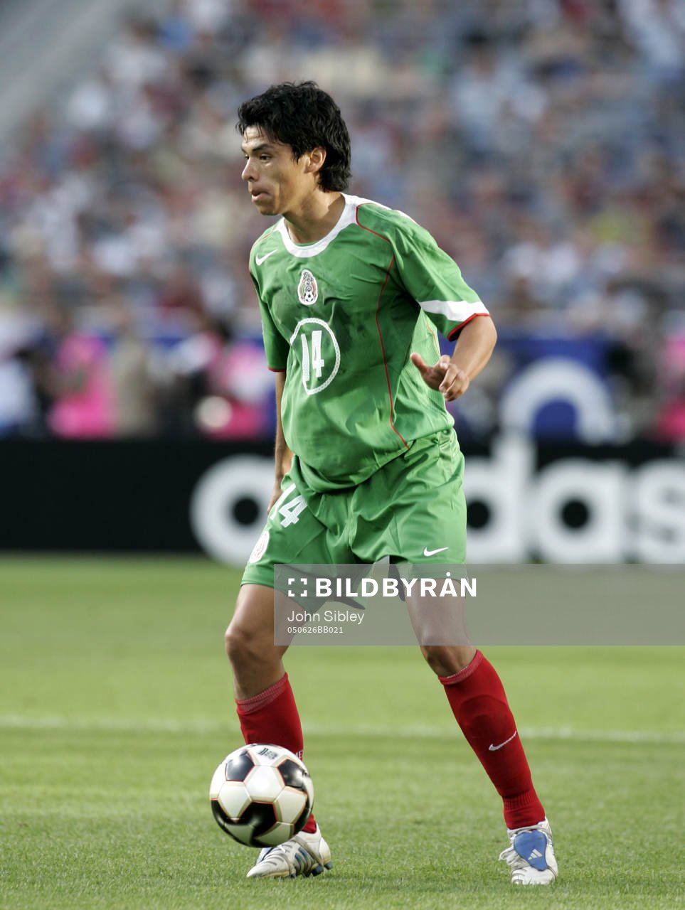 Gonzalo Pineda, Mexico