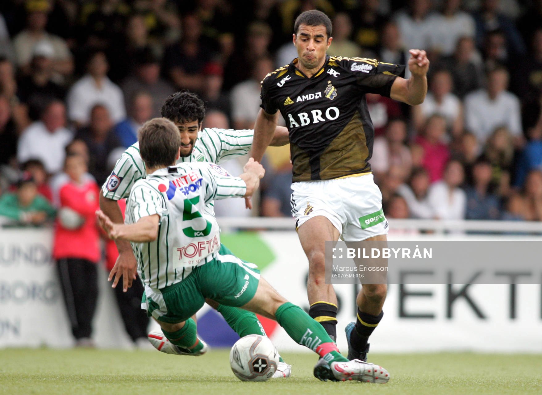Arash Talebinejad