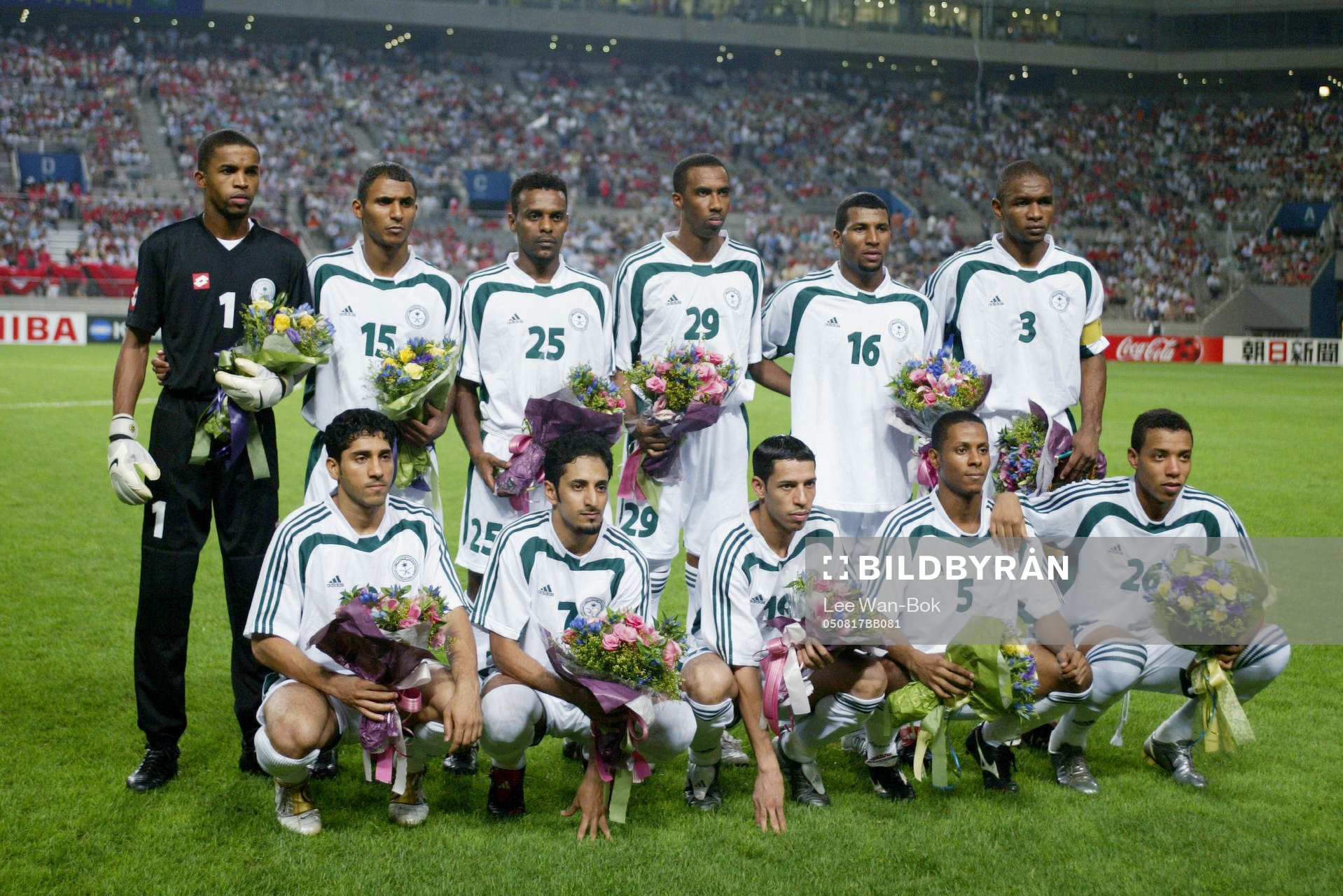 Saudiarabien, lagbild