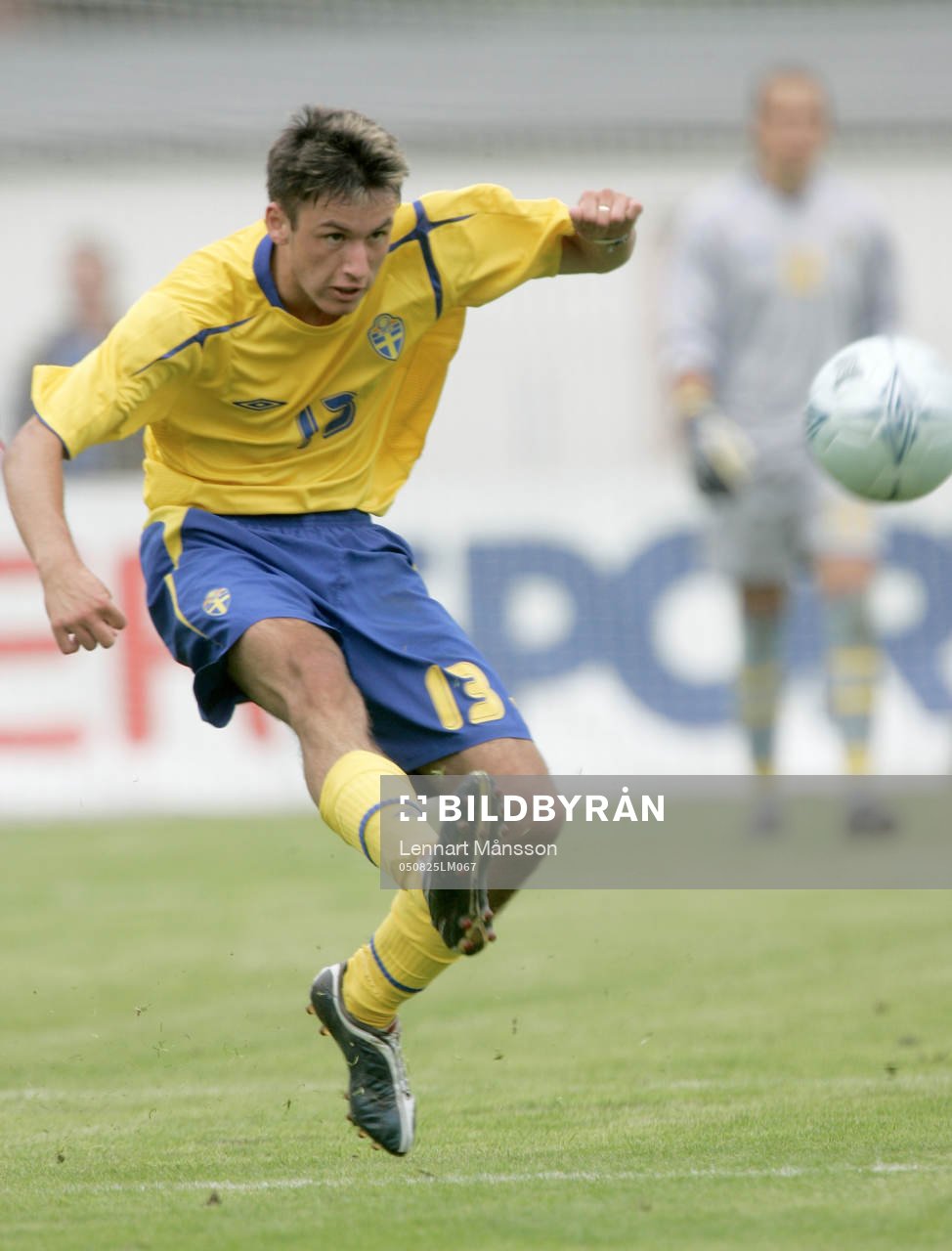 Amir Suljic