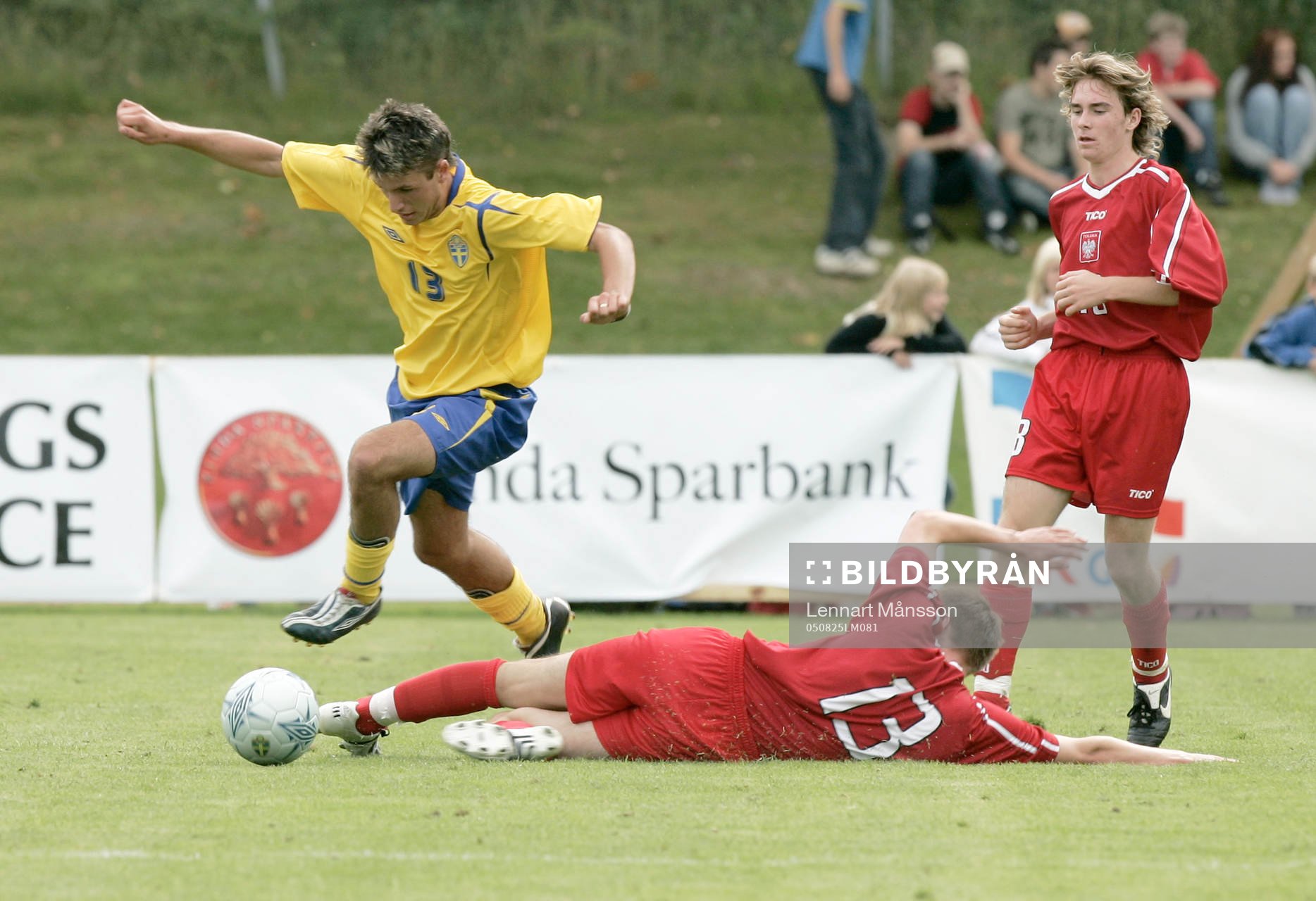 Amir Suljic, Sverige