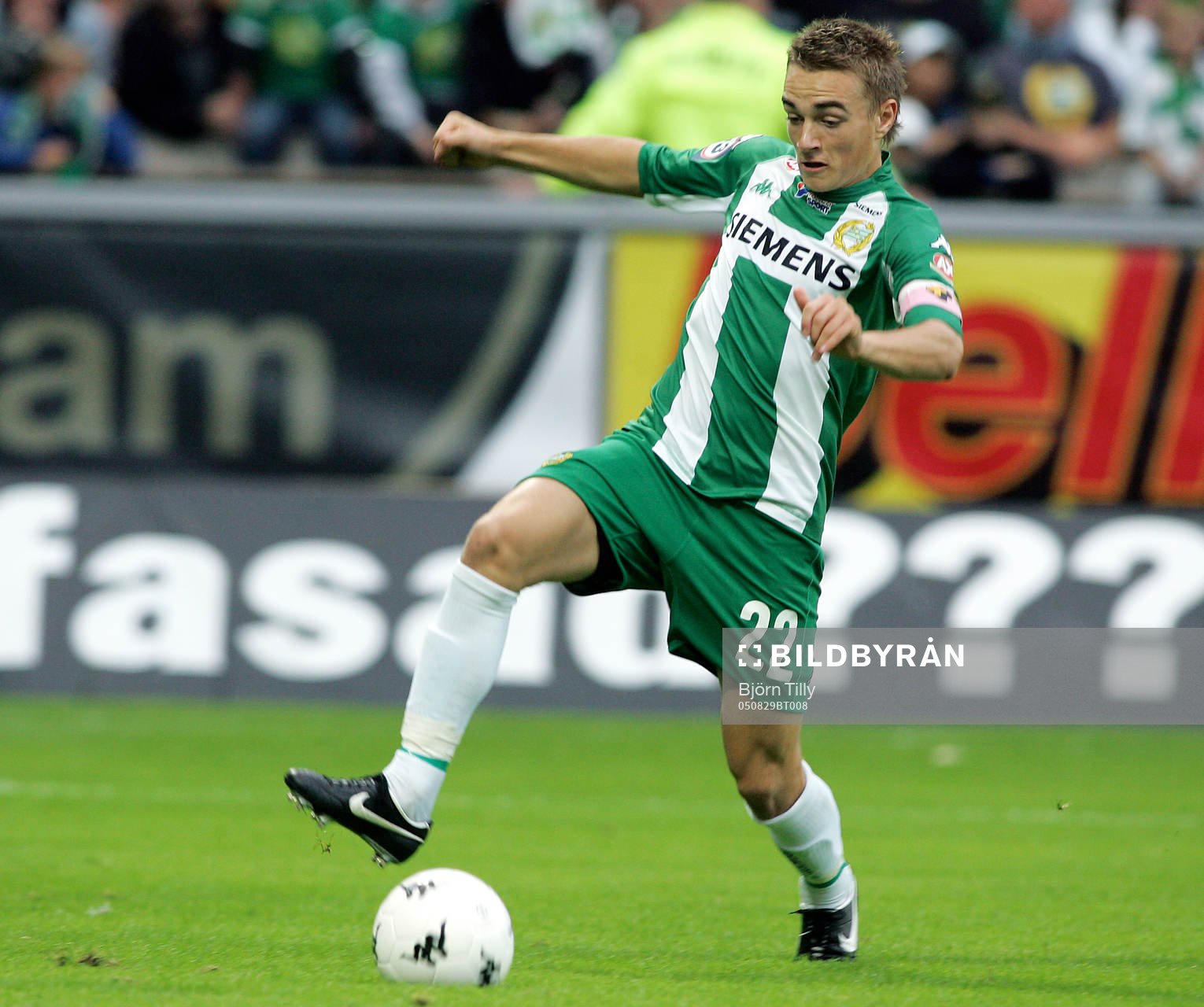 Petter Andersson, Hammarby