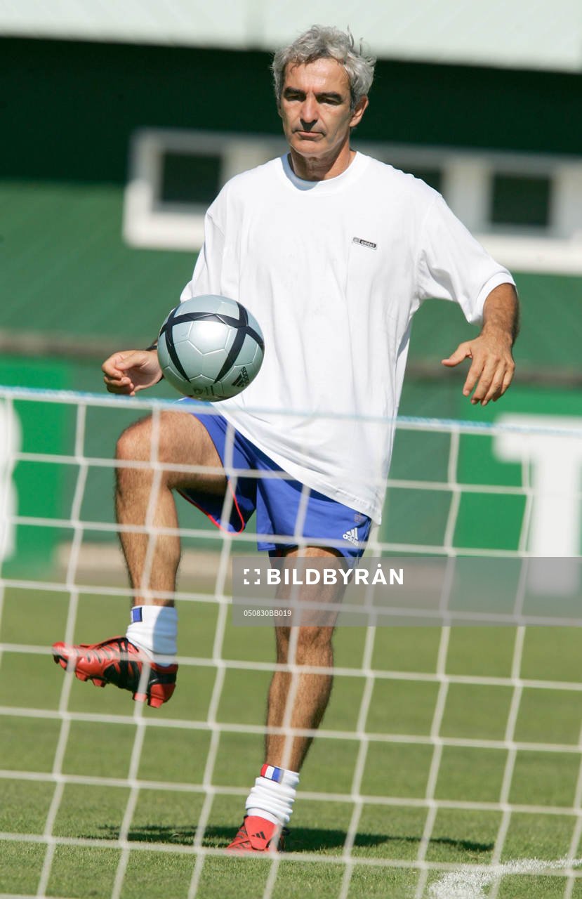 Raymond Domenech, tränare, förbundskapten