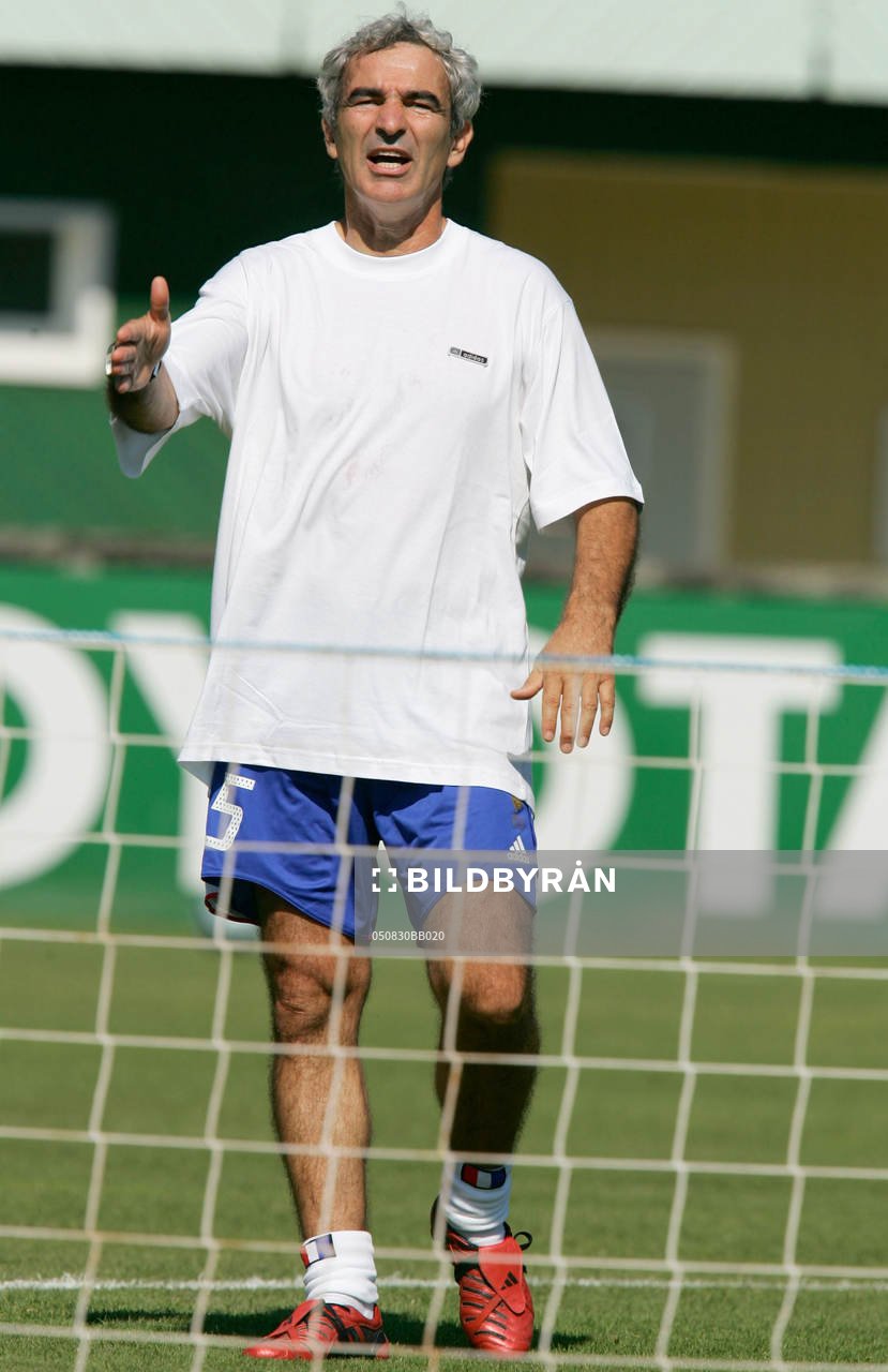 Raymond Domenech, tränare, förbundskapten