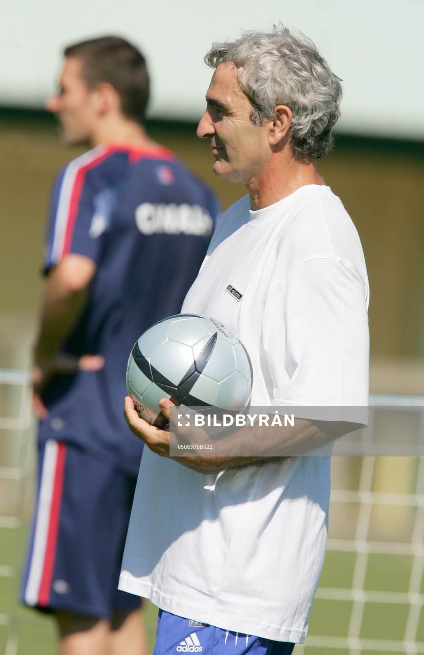 Raymond Domenech, tränare, förbundskapten