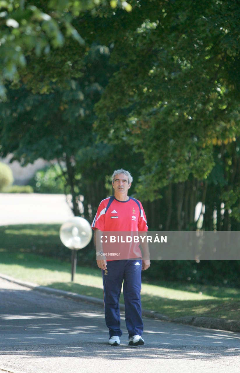 Raymond Domenech, tränare, förbundskapten