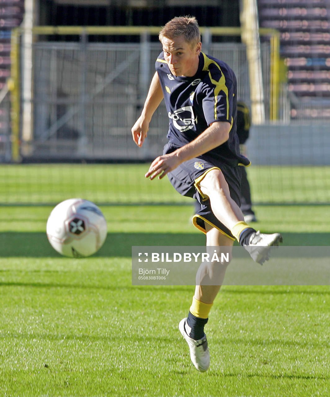 Markus Rosenberg, Sverige