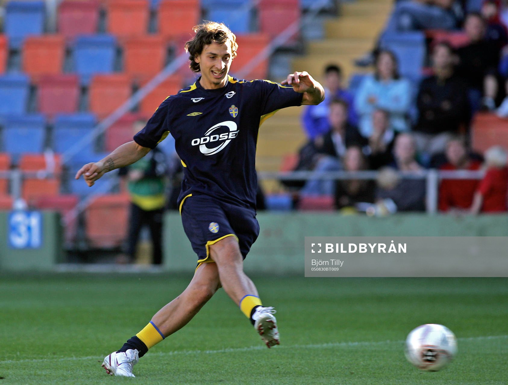 Zlatan Ibrahimovic, Sverige