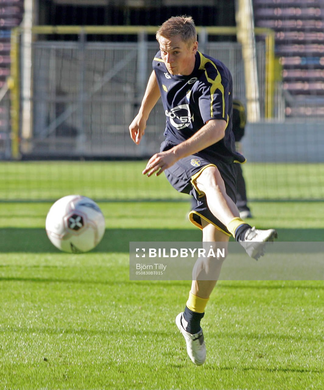 Markus Rosenberg, Sverige