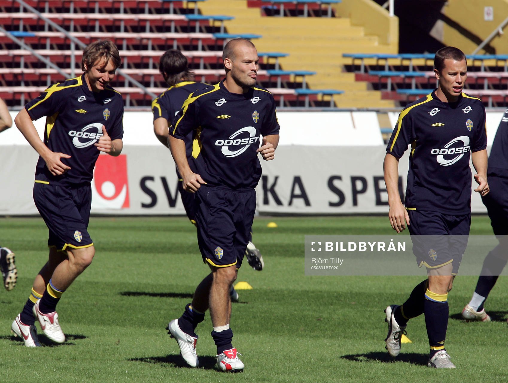 Fredrik Ljungberg, Sverige