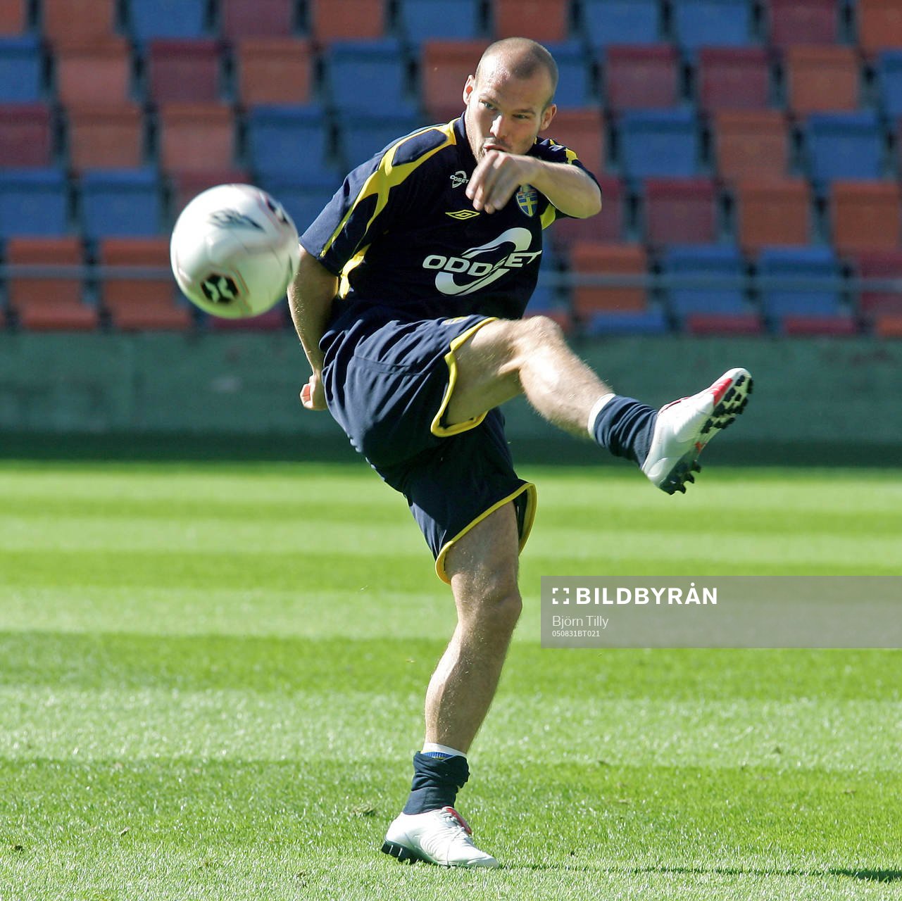 Fredrik Ljungberg, Sverige