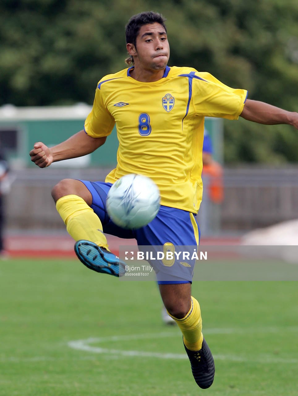 Sebastian Castro Tello, Sverige
