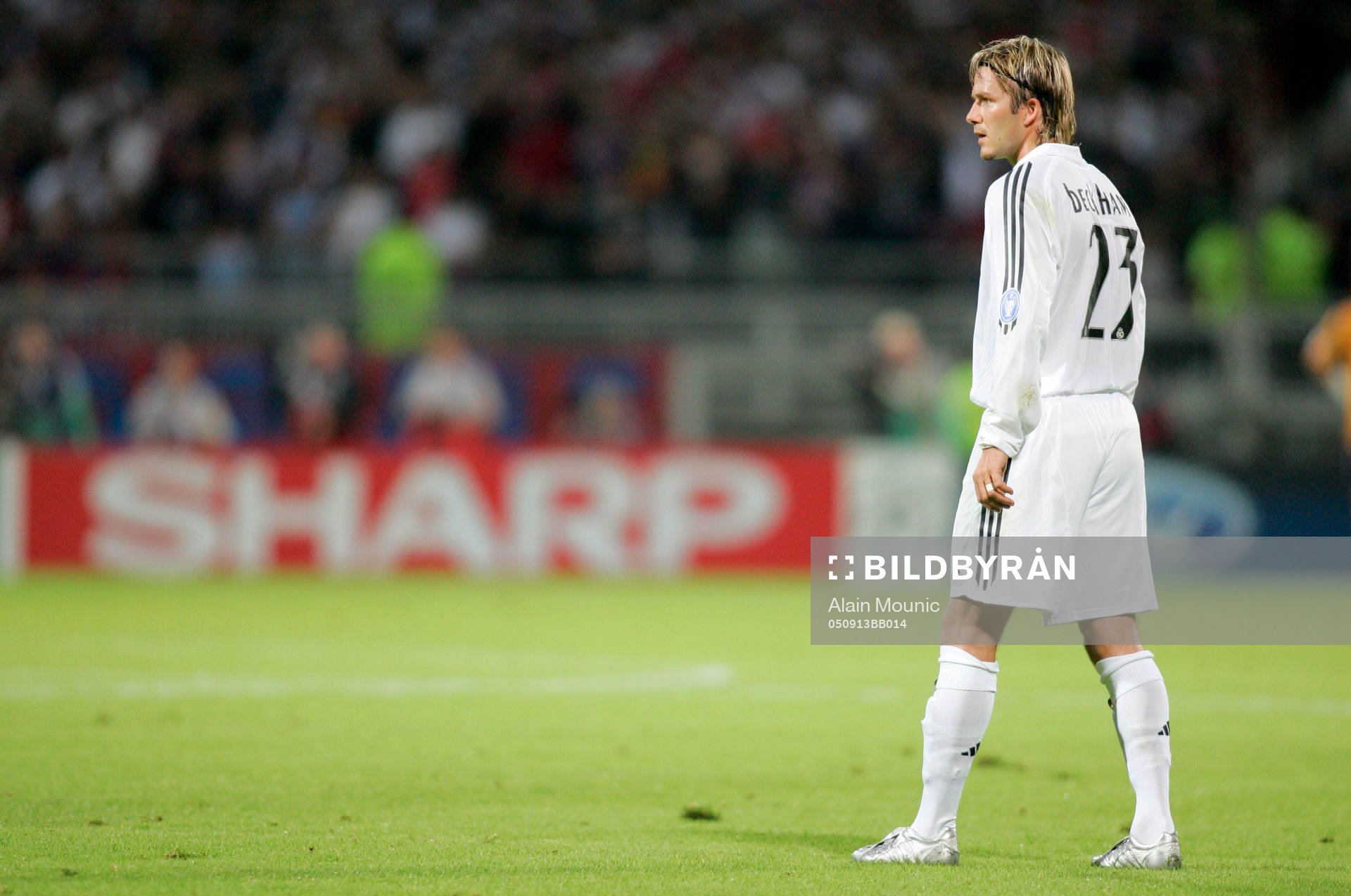 David Beckham