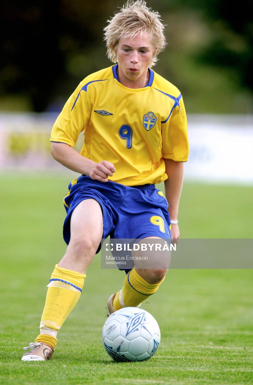 Johan Hultgren, Sverige