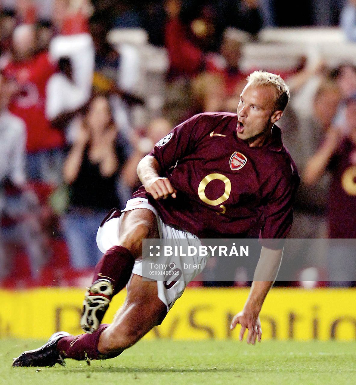 Dennis Bergkamp, jubel