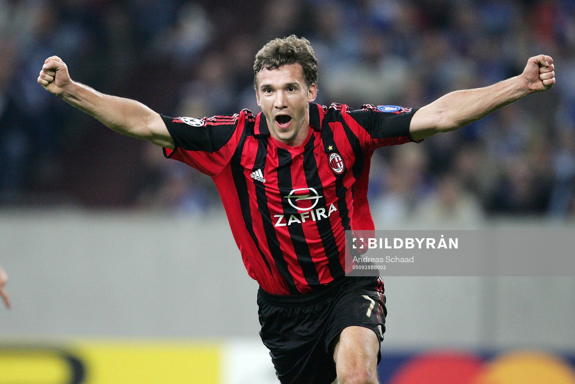 Andrei Shevchenko, jubel
