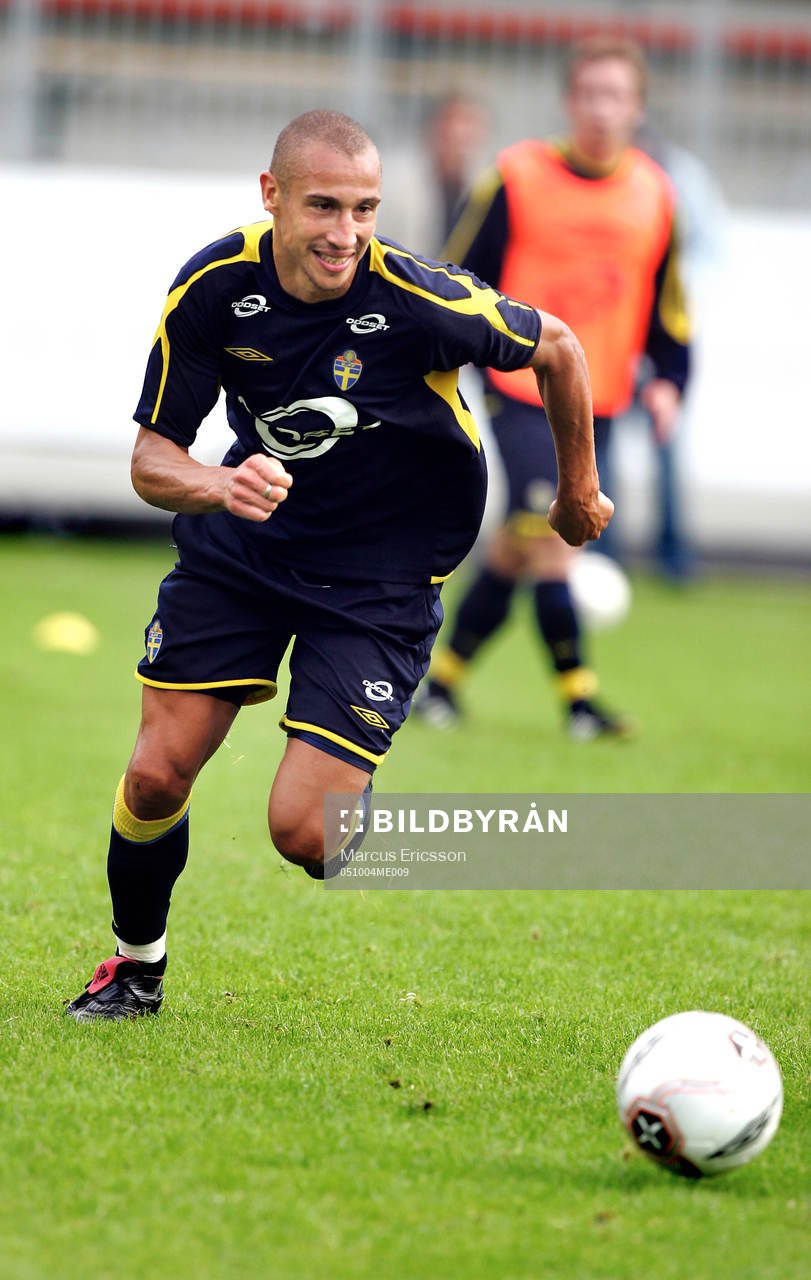 Henrik Larsson, Sverige