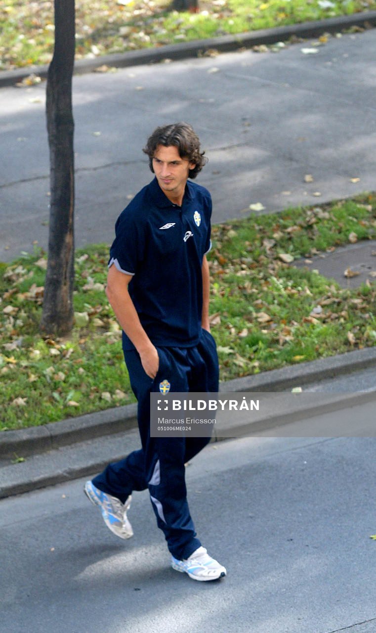 Zlatan Ibrahimovic, Sverige