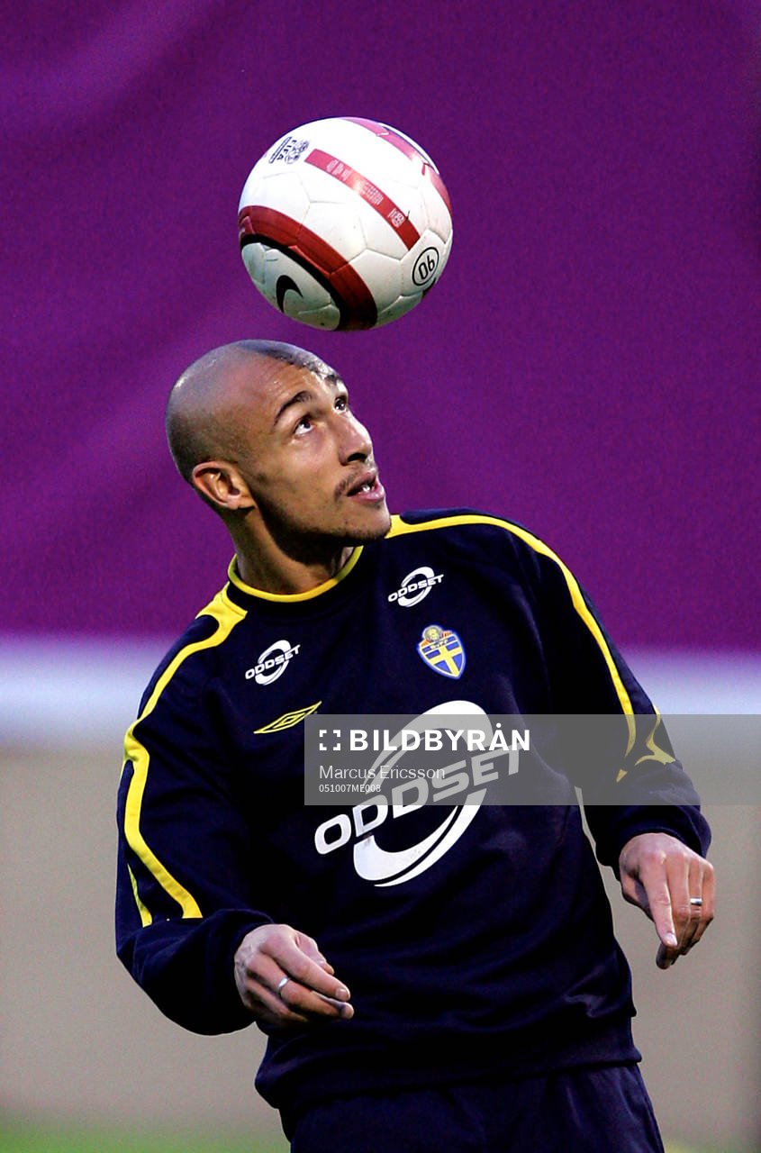 Henrik Larsson, Sverige