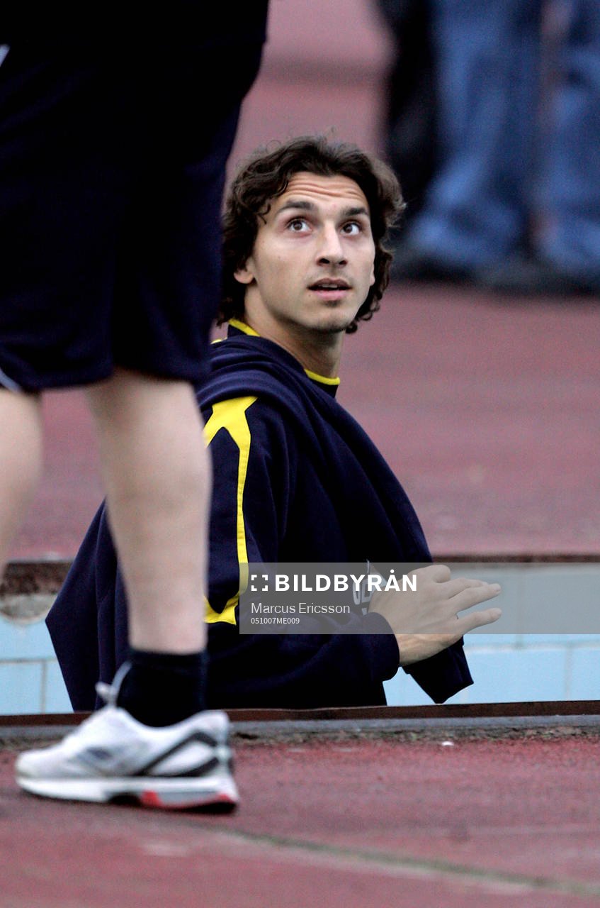 Zlatan Ibrahimovic, Sverige