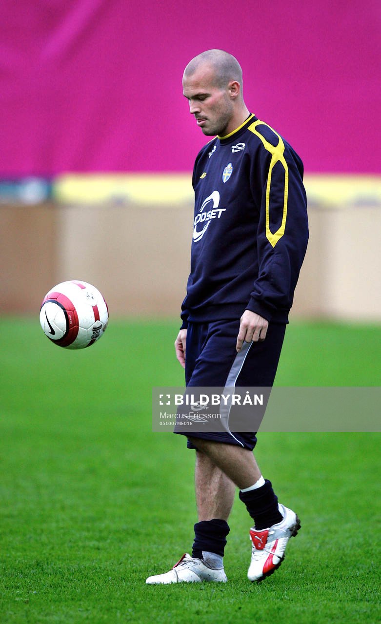 Fredrik Ljungberg, Sverige