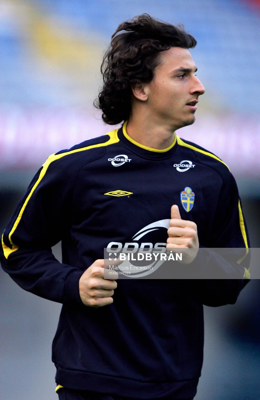 Zlatan Ibrahimovic, Sverige