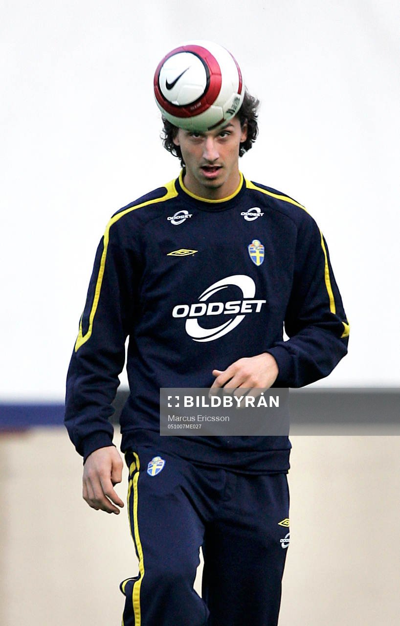 Zlatan Ibrahimovic, Sverige