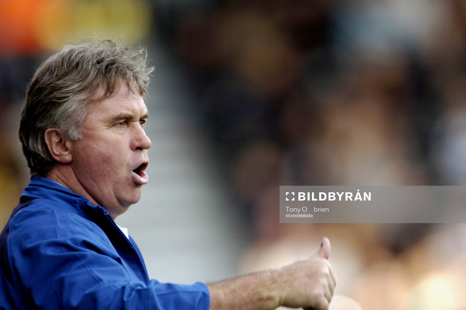 Guus Hiddink, förbundskapten, Australien