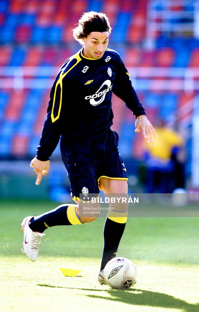 Zlatan Ibrahimovic, Sverige
