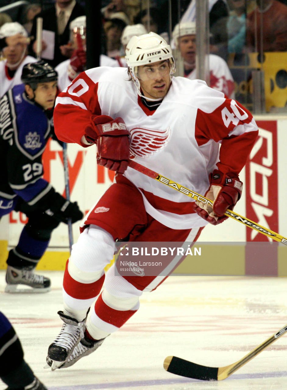 Henrik Zetterberg, Detroit