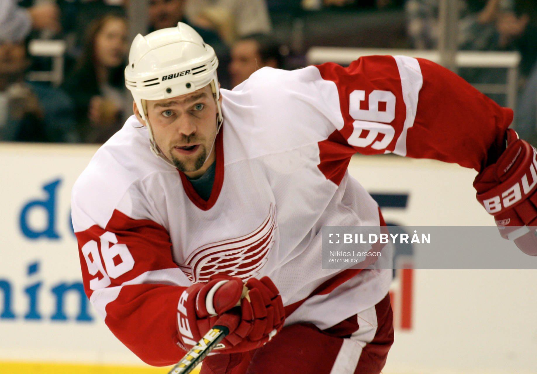 Tomas Holmström, Detroit