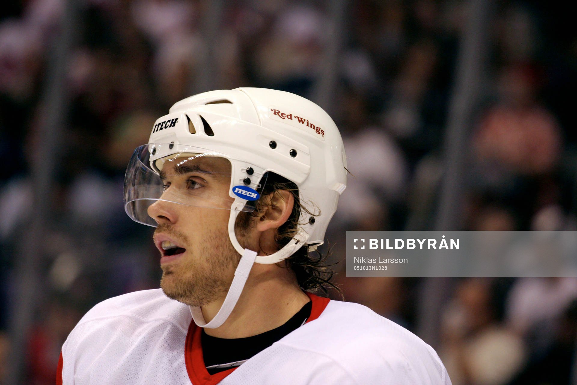 Henrik Zetterberg, Detroit