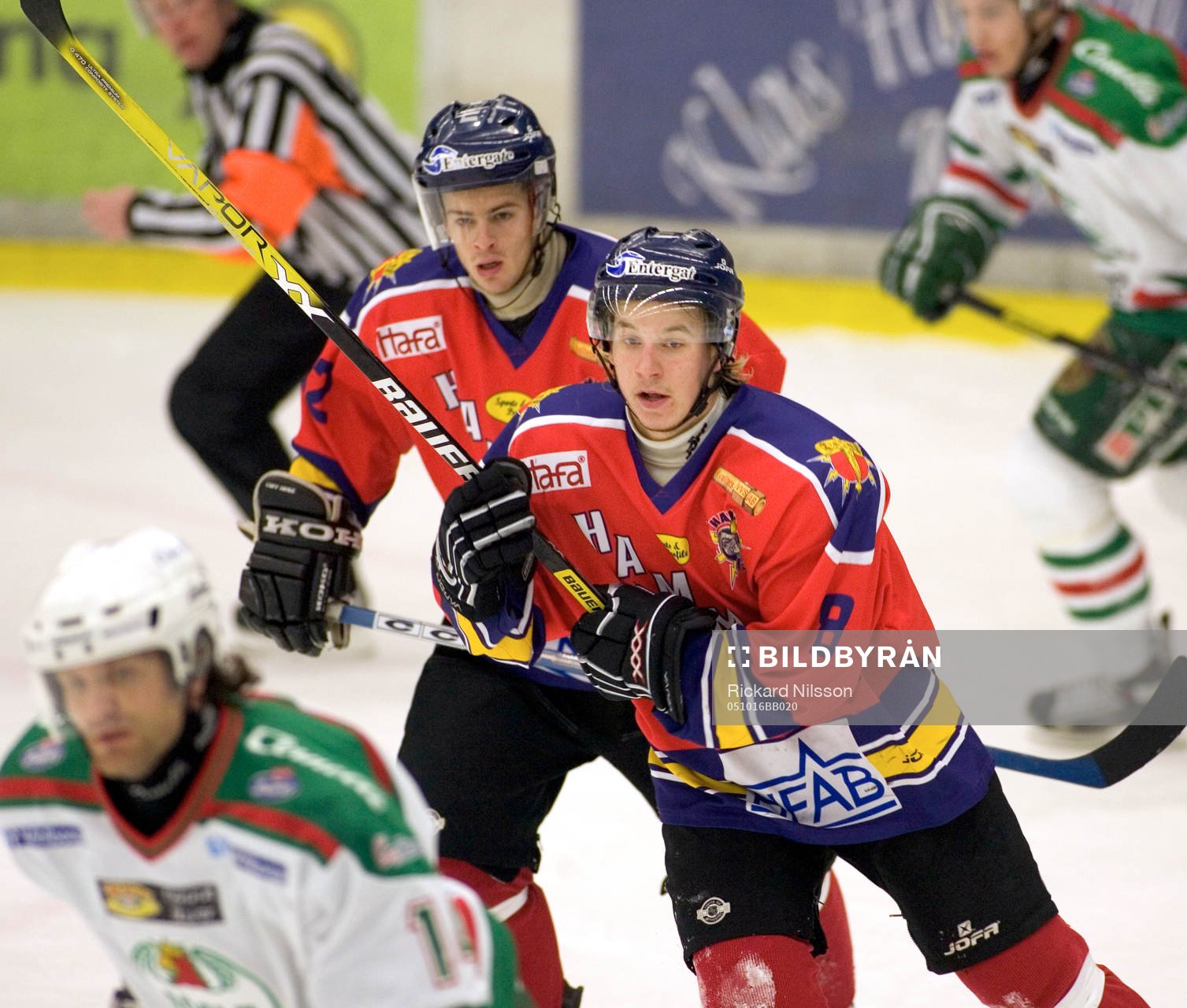 Niclas Loob, Halmstad