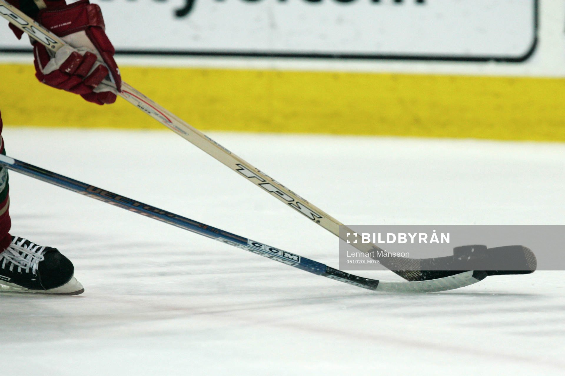 Ishockey, elitserien, klubba, genre bild