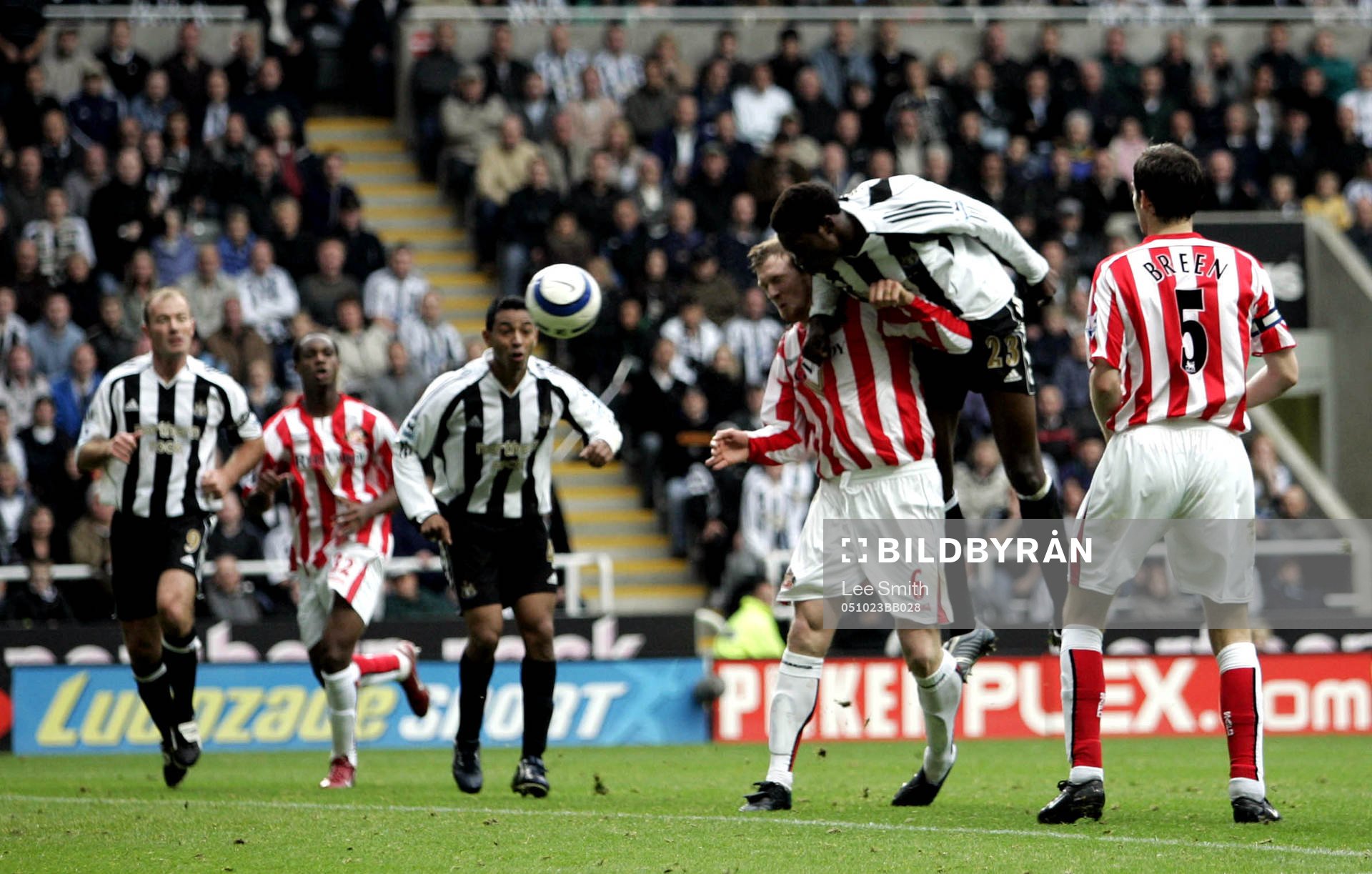Shola Ameobi, Newcastle