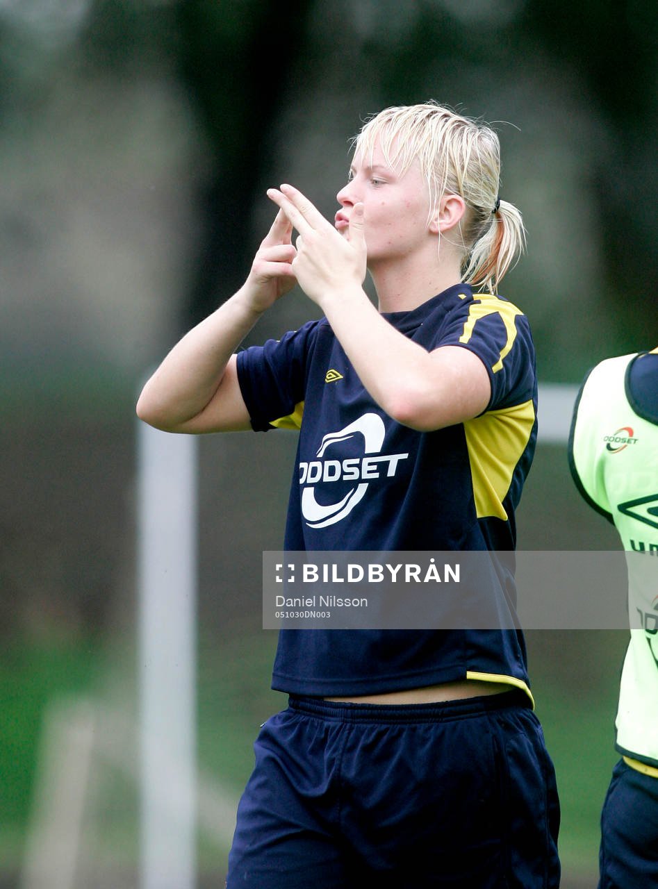 Nilla Fischer, Sverige