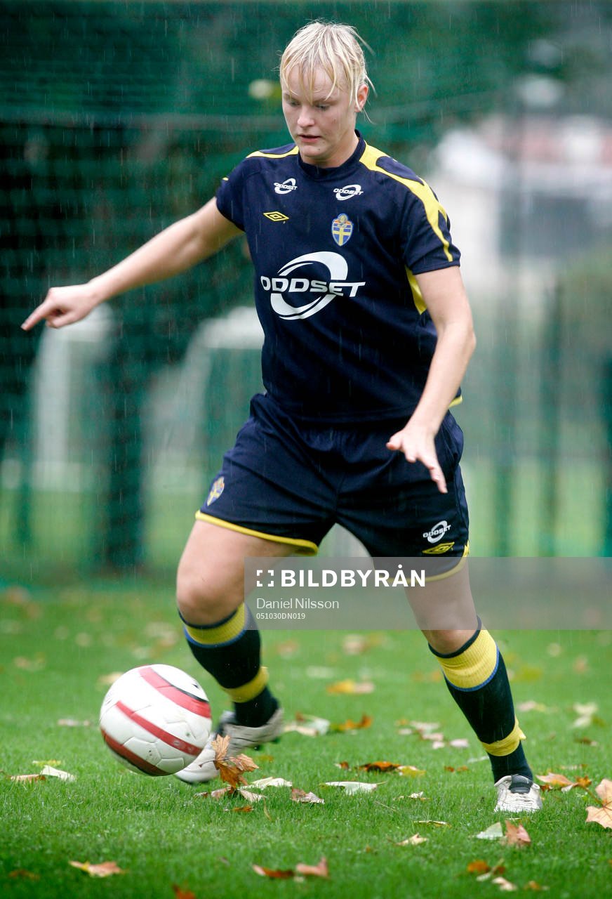 Nilla Fischer, Sverige