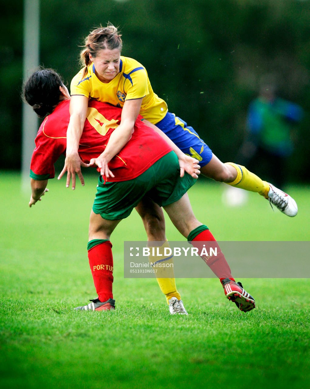 Johanna Almgren, Sverige