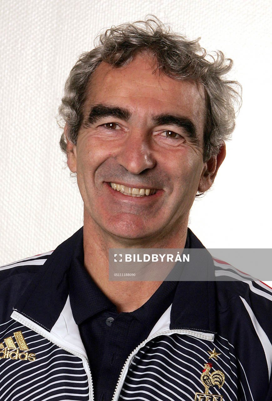 Raymond Domenech, förbundskapten