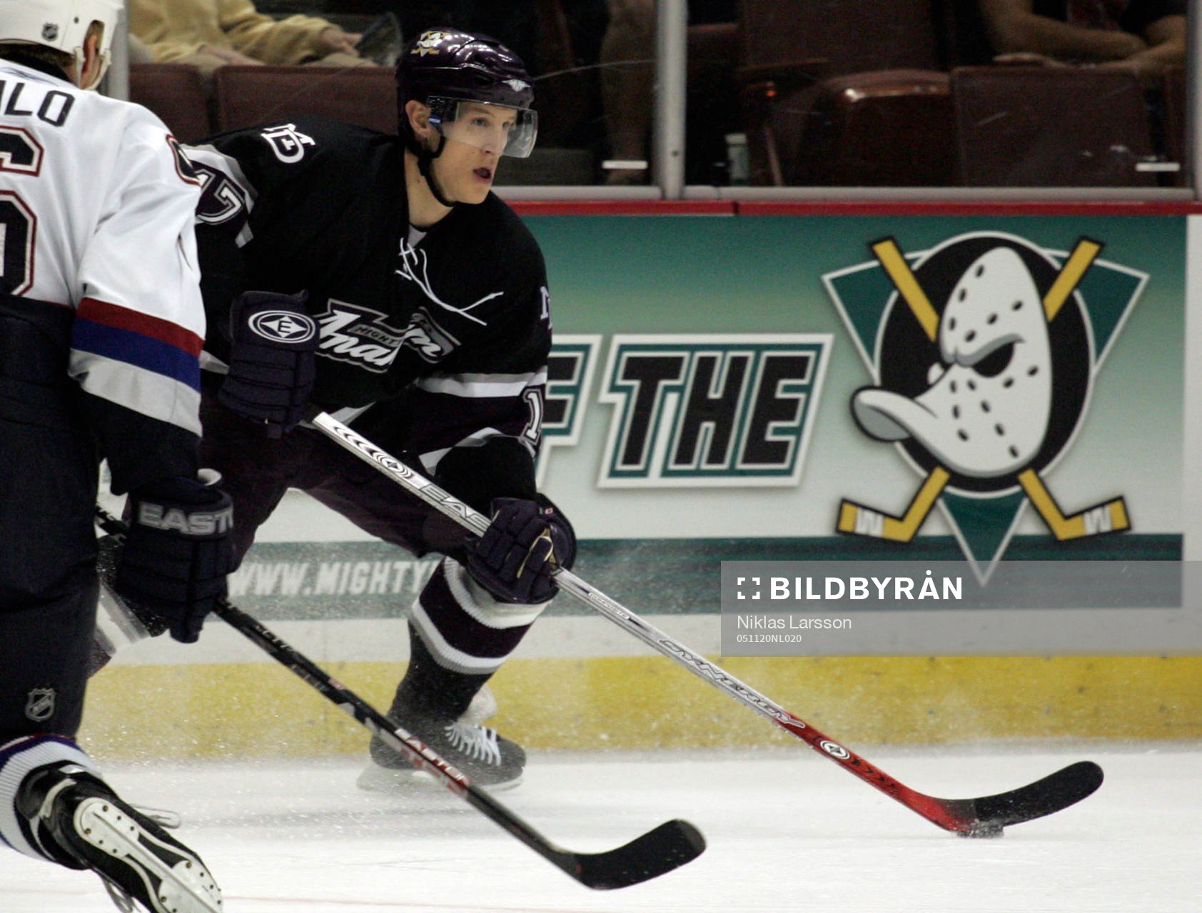 Jonathan Hedström, Anaheim