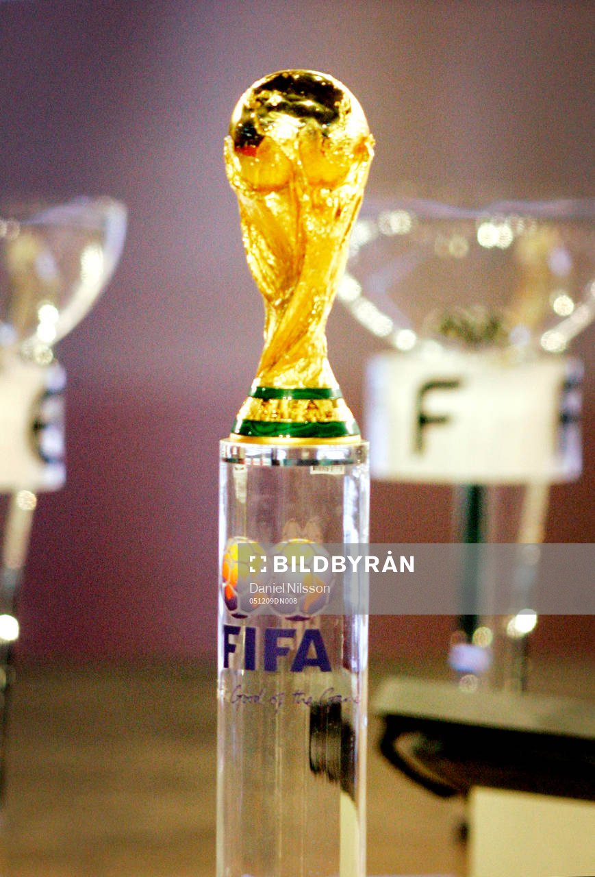 VM-pokal, pokal